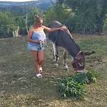 Séjour chez l'habitant Chez Romu