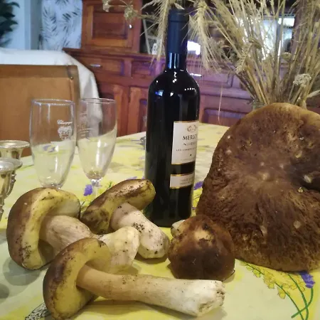 Chez Romu Homestay Rieutort