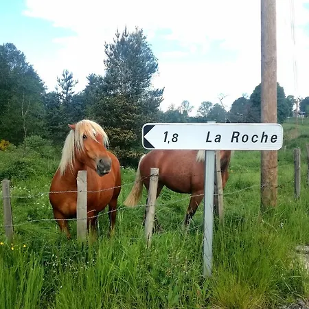 Chez Romu * Rieutort