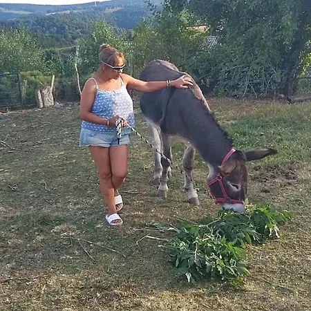 Homestay Chez Romu