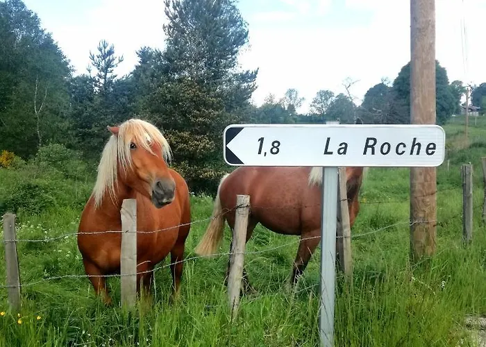 Chez Romu * Rieutort