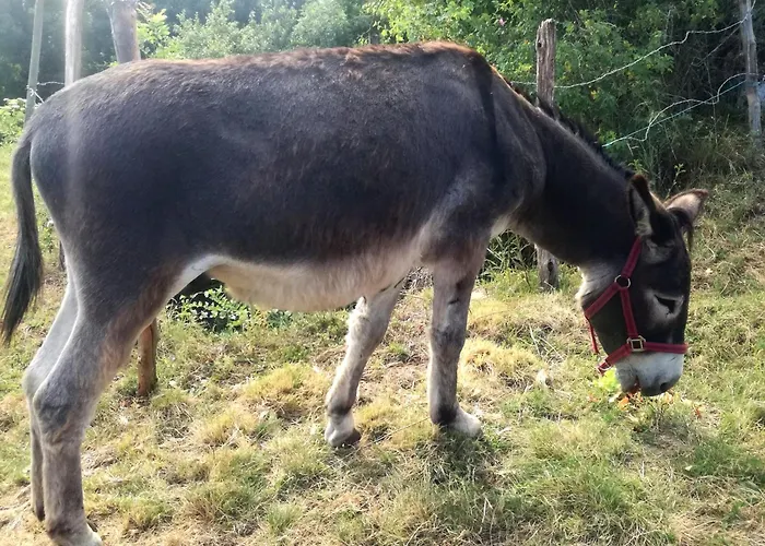 Chez Romu Kwatera prywatna