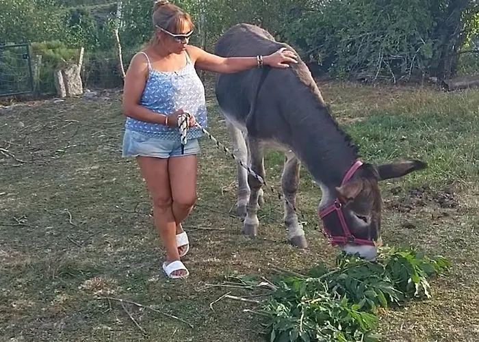 Kwatera prywatna Chez Romu